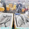 广州冷库|东莞冷库|食品冷库保鲜食品