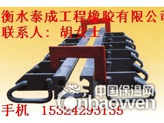 天津F40型伸缩缝价格图1