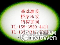 CGM-320B聚合物修补砂浆图2