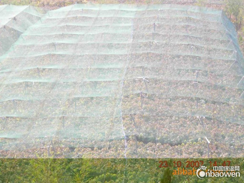 蔬菜防虫网/尼龙防虫网全国哪家好