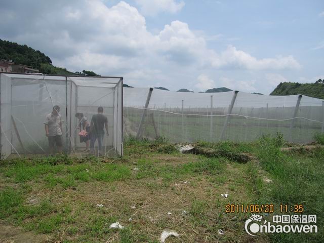 白色养殖防虫尼龙网,防虫尼龙纱网罩