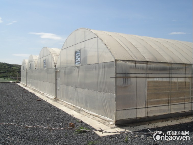 土工膜-山东复合土工膜厂家土工膜供应商