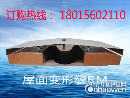 屋面变形缝RM