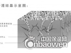 河北聚合物水泥基渗透结晶型防水涂料厂家价格图2