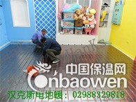 薄型电地暖品牌 干式电地暖施工工艺 电地暖品牌li