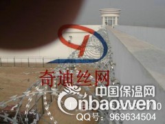 带刺铁丝网、刀片防盗刺网、小区社区防盗网图2