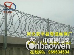 带刺铁丝网、刀片防盗刺网、小区社区防盗网图3