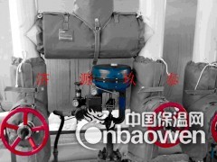 阀门可拆卸式保温被-济源玖泰-软体保温专家图2