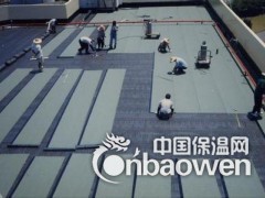 北京防水公司朝阳区专业屋顶楼顶防水堵漏图2
