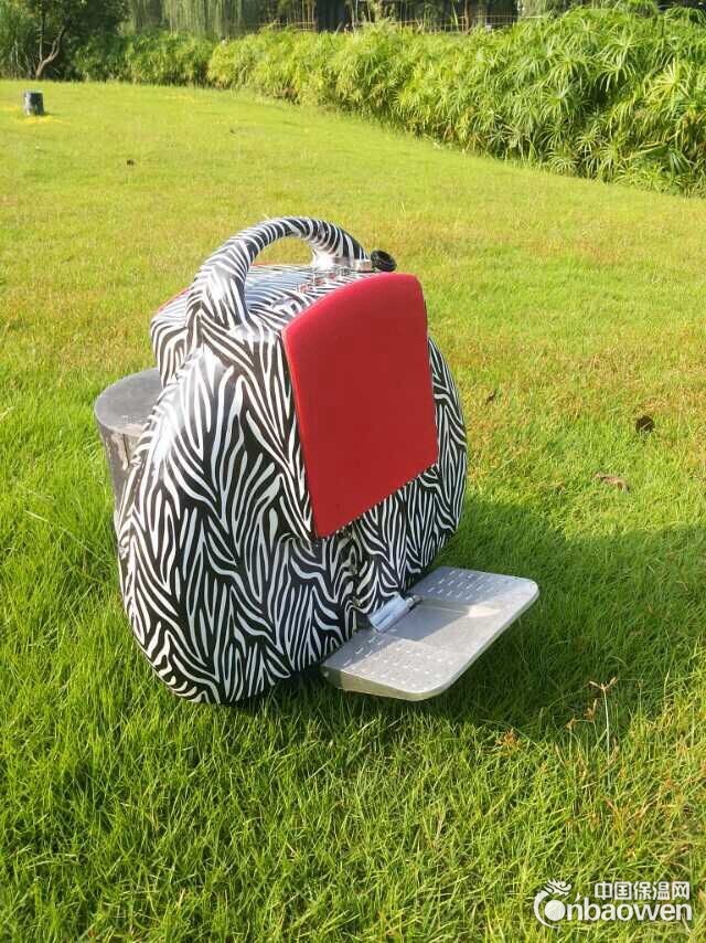 供应独轮车弧形电动独轮车火星车  带蓝牙自动平衡独轮车