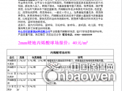 丙烯酸球场图2