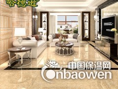 家庭装修选择哪个瓷砖品牌好,广东80