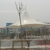 上海张拉膜制作设计、膜结构景观设计、膜伞制作