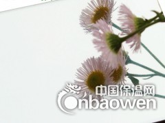 简介：
