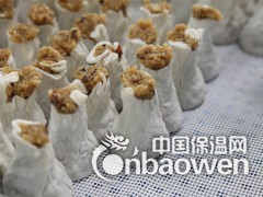 不要刷油的硅胶垫，食品级硅胶笼布图2
