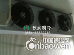 安徽合肥肥东县定做型冷藏库冷冻库图2