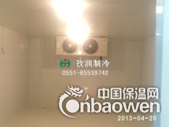 安徽黄山市屯溪区定做型冷藏库冷冻库图3