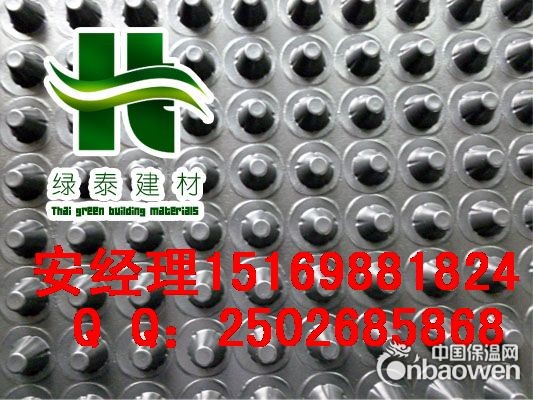 生产唐山1.2公分2公分3公分排水板厂家发货