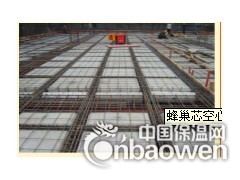 蜂巢芯的性能及工艺原理图1