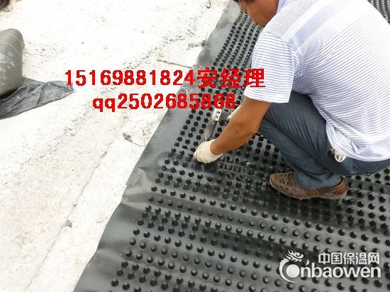 淄博车库排水板&绿化蓄排水板供应