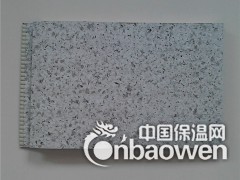 山东邹平科润轻钢别墅外墙板图2