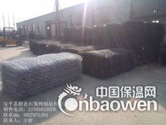 联企生态护堤坝固滨石笼网垫图3