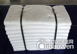 热销   硅酸铝纤维棉模块