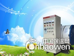 电热水锅炉（CWDR）图2