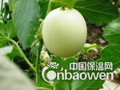 医药冷库安装图3