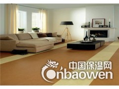 遵义PVC地板图2