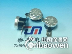 TM22温度开关，TM22温控开关，热保护器厂家图2