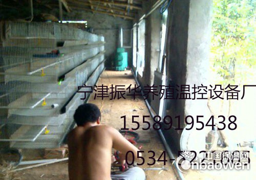 鸡舍升温锅炉强制燃烧