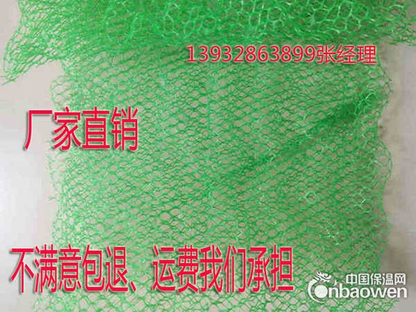 河北厂家供应复合三维植被网  各种型号三维植被网厂家直发