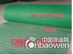 河北厂家供应复合三维植被网  各种型号三维植被网厂家直发图2