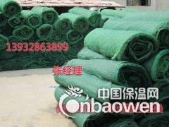 河北厂家供应复合三维植被网  各种型号三维植被网厂家直发图3
