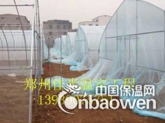 阳光板生态餐厅建造成本 育苗日光温室新型几型钢骨架图2