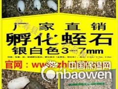 保温蛭石板-保温防火蛭石板-灵寿县厂家直销图2