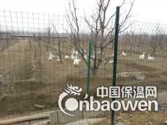 太原养殖护栏网价格太原养殖护栏网报价太原养殖护栏网现货图3