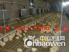 新型山东养殖锅炉，养鸡锅炉价格图3