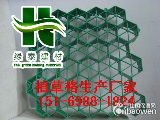 天津种植绿化植草格厂家%送货
