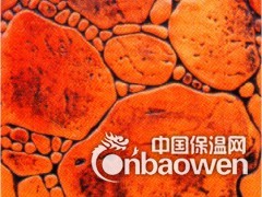 彩色地面工艺图3