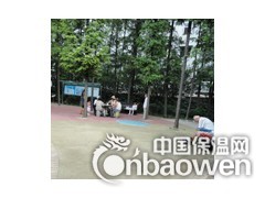 环保地面图2