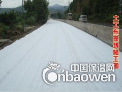 前进针刺无坊土工布/机织土工布/编织土工布努力用心为您服务图3