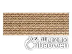铁氟龙网带图2