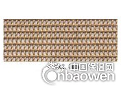 铁氟龙网带图3
