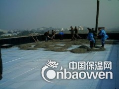厂家直销挤塑板图2