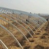 郑州日光温室一个多少钱 建造几字钢日光温室材料成本