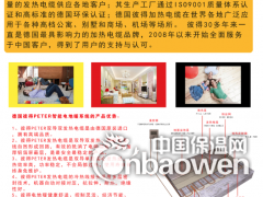 彼得Peter电地暖︱双导发热电缆图3