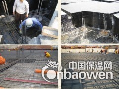 CPS反应粘结型耐根穿刺防水卷材图3