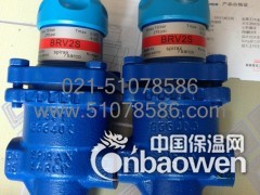 斯派莎克BRV2S减压阀图2
